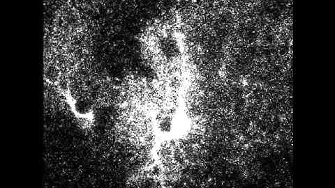 Astrocytes listening in on neurons
