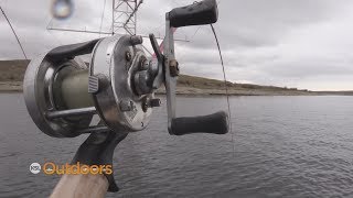 lakeshore bait and tackle