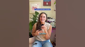 How to minimize meltdowns in kids with autism