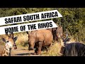 Home of the Rhinos: Safari in Hluhluwe iMfolozi Game Reserve in KwaZulu-Natal, South Africa