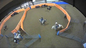 Big Sky Ranch Sorting Saddle Series #2 - #3 - Round #1 - Ride #40