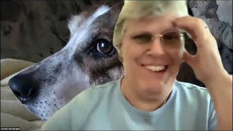 July 28th, Module 9 More Testing w/ Jest