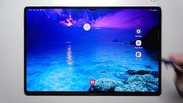 Samsung Galaxy Tab S8 Ultra - How To Turn On & Off Auto Correction