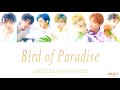 [ENG/ROM] ORβIT &quot;極楽鳥花 ~Bird of Paradise~&quot; (Color Coded Lyrics)