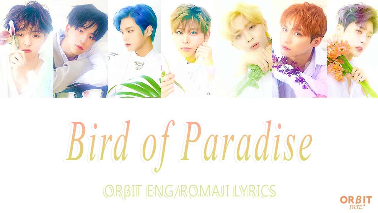 Eng Rom Orbit 極楽鳥花 Bird Of Paradise Color Coded Lyrics Youtube