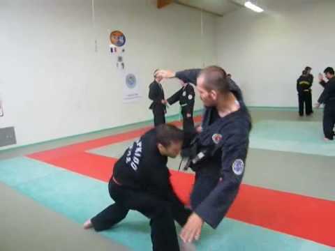 Formation Hapkido Rgionale Juin 2010.divx