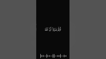 ﴿أَوَلَمْ يَرَوْا أَنَّ اللَّهَ الَّذِي خَلَقَ السَّمَاوَاتِ وَالْأَرْضَ﴾الايةُ33|سورةُ الأحقاف،