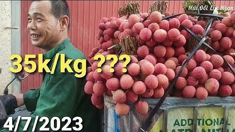 Giá Vải Thiều Cuối Vụ- Ngã Ba Áp Tìm Từng Sọt - Ngã Ba Tân Hoa Tắc Đường l Núi Đồi Lục Ngạn