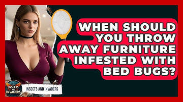 When Should You Throw Away Furniture Infested With Bed Bugs? - Insects and Invaders