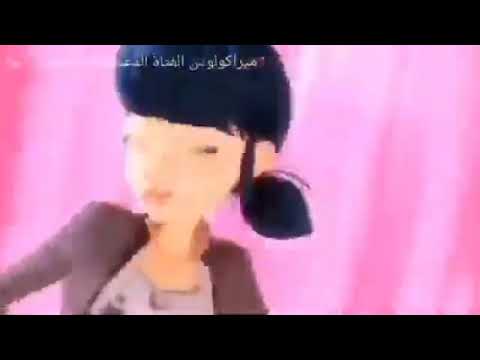 حلمي تحطم و اختفى لحظات موت القط الأسود