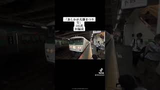 『あしかが大藤まつり号』185系B6編成