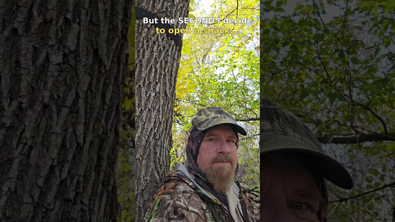 RandomThoughts FromTreestand: Ep 3 — Snack Wrapper
