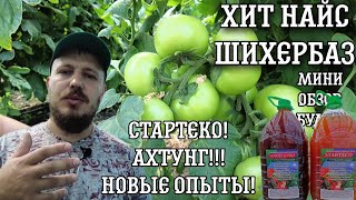 Опыт со СТАРТЕКО. ХИТ, Шихербаз, НАЙС. ЕСТЬ ЛИДЕР