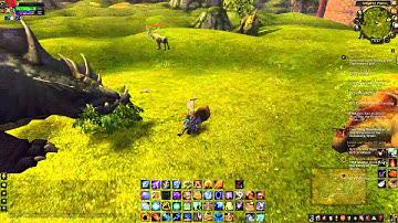 WoW MoP - Fox Mastery