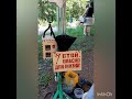 Переработка пластика своими руками #botanica_fest