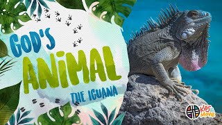 GOD'S ANIMAL - THE IGUANA | Kids on the Move