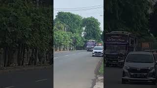 Full Telolet Basuri V3 Po. Haryanto 115 “White Roses”
