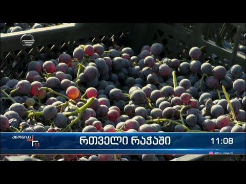 რთველი რაჭაში