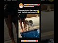 #funny #dog #argument #doglife #dogshorts #doglove #funnydog #husky #edit #viraldog #1k #dogtraining