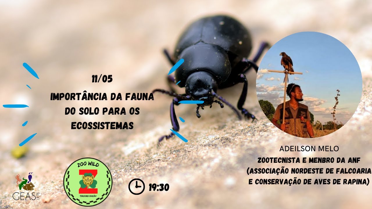 III ZooWild: 3º Dia - Importância da Fauna do solo para os ecossistemas ...