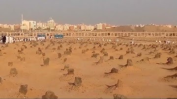 سورة الفجر شيخ احمد بن طالب بن حميد المدينة منوره بصوت أجمل رائعه القرأن الكريم