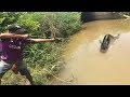 Primitive Bowfishing Shoot Big Fish With Bow Fishing Make By Creative Man In My Village