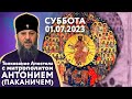 Суббота, 1 июля 2023 года. Толкование Апостола с митр. Антонием (Паканичем).