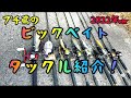 プチ鳶のビッグベイトタックル紹介2022‼【バス釣り】