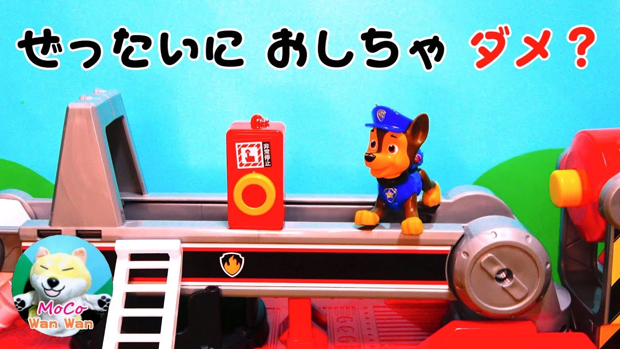 Paw Patrol パウパトロール 339 チェイス ぜったいに おしちゃ ダメ Don T Push The Button Youtube