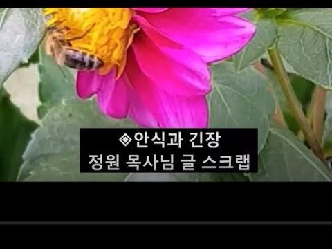 안식과 긴장 / 정원 목사