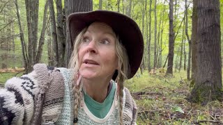 Lost proof yourself
This is the second video in a series challenge called Change your life in 5 fires.
This video focuses on my strategy for lostproofing and includes instructions for a vision fire. Were going to explore beyond our comfort zones and create a vision for our better self. Were going to burn our fears and limitations and get a vision for our BIG AUDACIOUS GOAL- and zone in on the target!
Getting lost is not an option!
Watch all Change your life in 5 fires videos here:
https://www.youtube.com/watch?v=HesBJNlUuBE&list=PLWnhu8PjVlhIfUCuFynKsSUSgPRN4ZbVQ
*Check out Jonathan Deerings knives: @deeringknives on Instagram*
(Tell him I sent you!)
MY SHELTER VIDEOS mentioned in this video-
How to Build a Debris Shelter | Natural Materials Only | Part I:
https://www.youtube.com/watch?v=Mj4rNWaYnuE
Debris Shelter Build - Part II
https://www.youtube.com/watch?v=uHm6nEYRGt8
Solo overnight at my new debris shelter:
https://www.youtube.com/watch?v=P2D1ZwmTS6M
My new bushcraft shelter hideout- the BUILD:
https://www.youtube.com/watch?v=RcaWOwjWs6g
My new Bushcraft Shelter, Day 2, BUILD with my dog Daisy- DA WOOF!:
https://www.youtube.com/watch?v=0CWu4kKuJww
Full MOON overnight at my new bushcraft shelter:
https://www.youtube.com/watch?v=N2fb_7vV_4g
Thanks for your views, comments, and support!
Watch me build a cabin:
https://www.youtube.com/watch?v=ax9dXlFLd1o
Watch me build out my truck topper into a camper:
https://www.youtube.com/watch?v=egEwFVnfDvE
My merch~ Heres the link to my new store!
https://crowdmade.com/collections/girlinthewoods
FOLLOW ME ON INSTAGRAM: https://www.instagram.com/girlinthewoodz/
To see my recommendation for gear and the gear I use in my videos go to: MY AMAZON AFFILIATE STORE https://www.amazon.com/shop/girlinthewoods
**A purchase through this link helps support this channel- THANK YOU!
MY ETSY STORE: https://www.etsy.com/shop/girlinthewoodsgoods?ref=shop_sugg
SUBSCRIBE for news/updates on my website: https://www.brookewhipple.com
My husband Dave Whipples YouTube channel, BUSHRADICAL: https://www.youtube.com/channel/UCo698VL13Dip93yh0f4Rc5Q Lost proof yourself