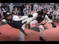Devastating taekwondo sparring kicks to the head