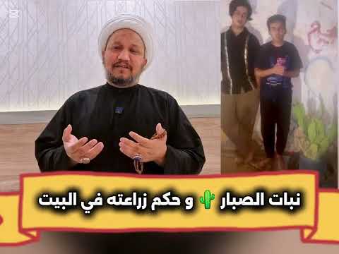 نبات الصبار و حكم زراعته في البيت