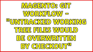 Magento: Git Workflow - "untracked working tree files would be overwritten by checkout"