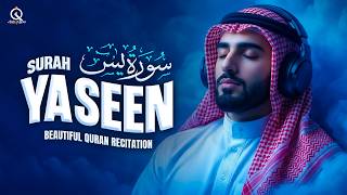                    سورة يس                                                         - اسمعها