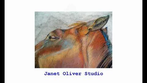 Janet Oliver Studio