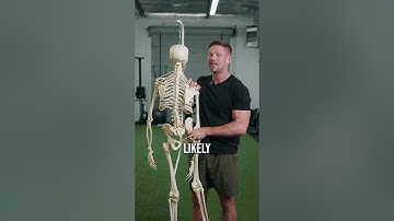 The Quadratus Lumborum: The Low Back Killer Muscle