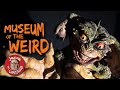 Museum of the Weird - Austin, TX