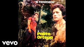 Palito Ortega - Que Sientes por Mí (Official Audio)