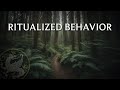 Ritualized Behavior From Animals to Church