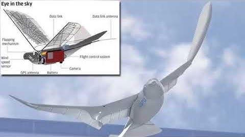 The Doves came to watch over you. China launches drones to monitor its citizens.