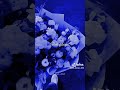 غبينتي غير نتي ابوني