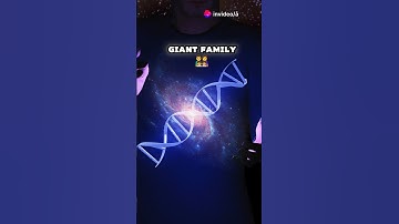 Discover the Hidden Patterns of the Universe! 😲