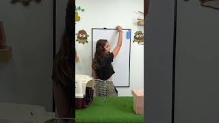 what's the difference between rats and mice? 🐀🤝🐁 #shorts #rat #animalsanctuary #mayahiga