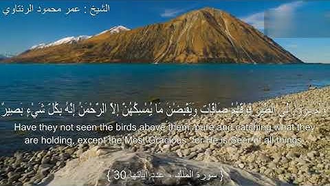 سورة الملك بصوت الشيخ عمر محمود الرنتاوي .