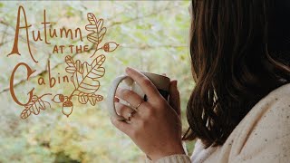 Autumn at the Cabin  a cozy cabin vlog; foraging, drawing, and a pumpkin patch!