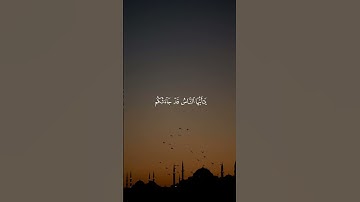 ﴿هو يُحي ويُميتُ وإليه تُرجعون } سورة يونس القارئ _ عبدالرحمن مسعد #quran