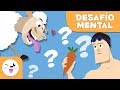 DIVERTIDOS ACERTIJOS PARA NIÑOS | ¿Podrás resolverlo? | DESAFÍO MENTAL