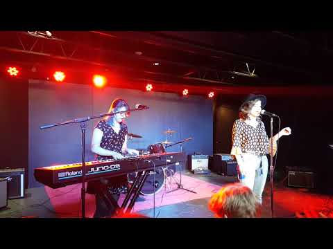 Harvey And The Car Cats Gangsta S Paradise