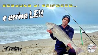 Super OMBRINA con mare in scaduta di scirocco....la magia del SURFCASTING!